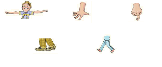 Standart Olmayan Ölçü Birimleri